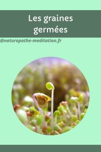 Les graines germées pin it 2
