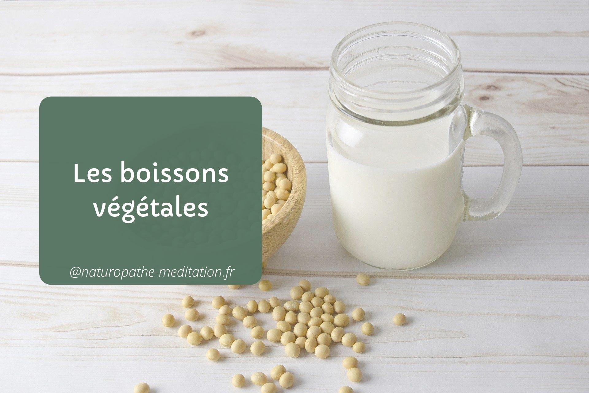 les laits végétaux