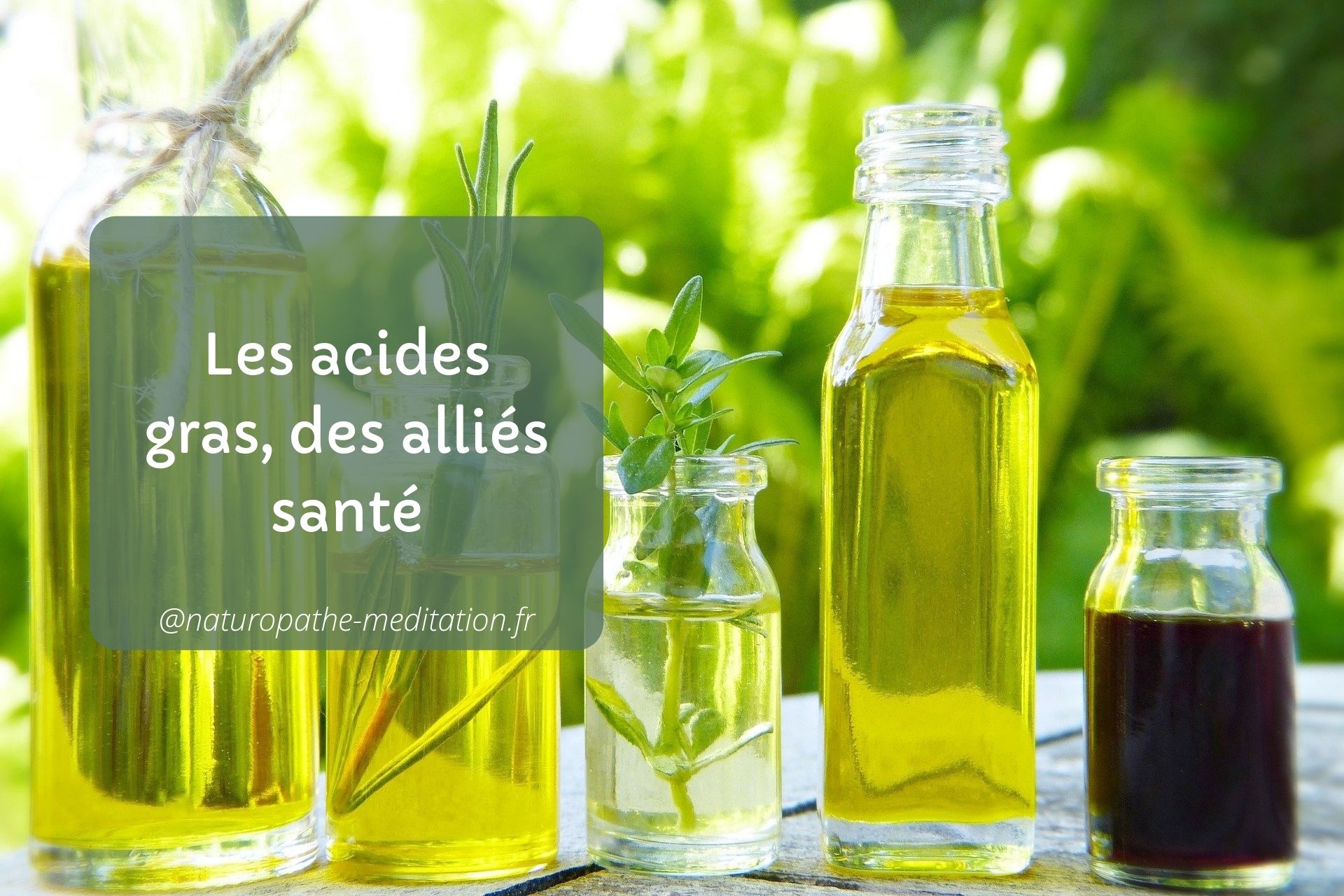 Les acides gras, des alliés santé les bons acides gras