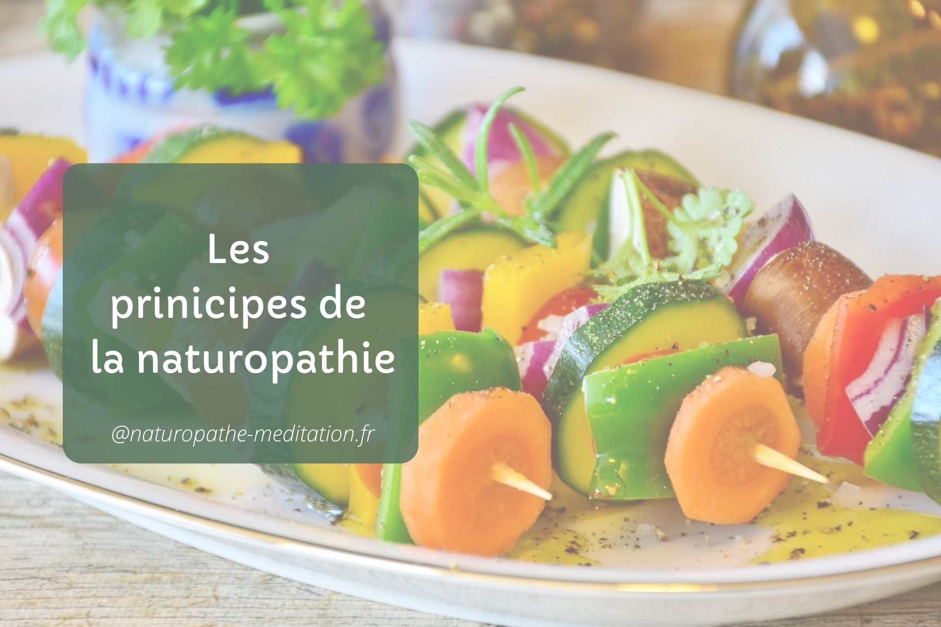 Principes naturopathie