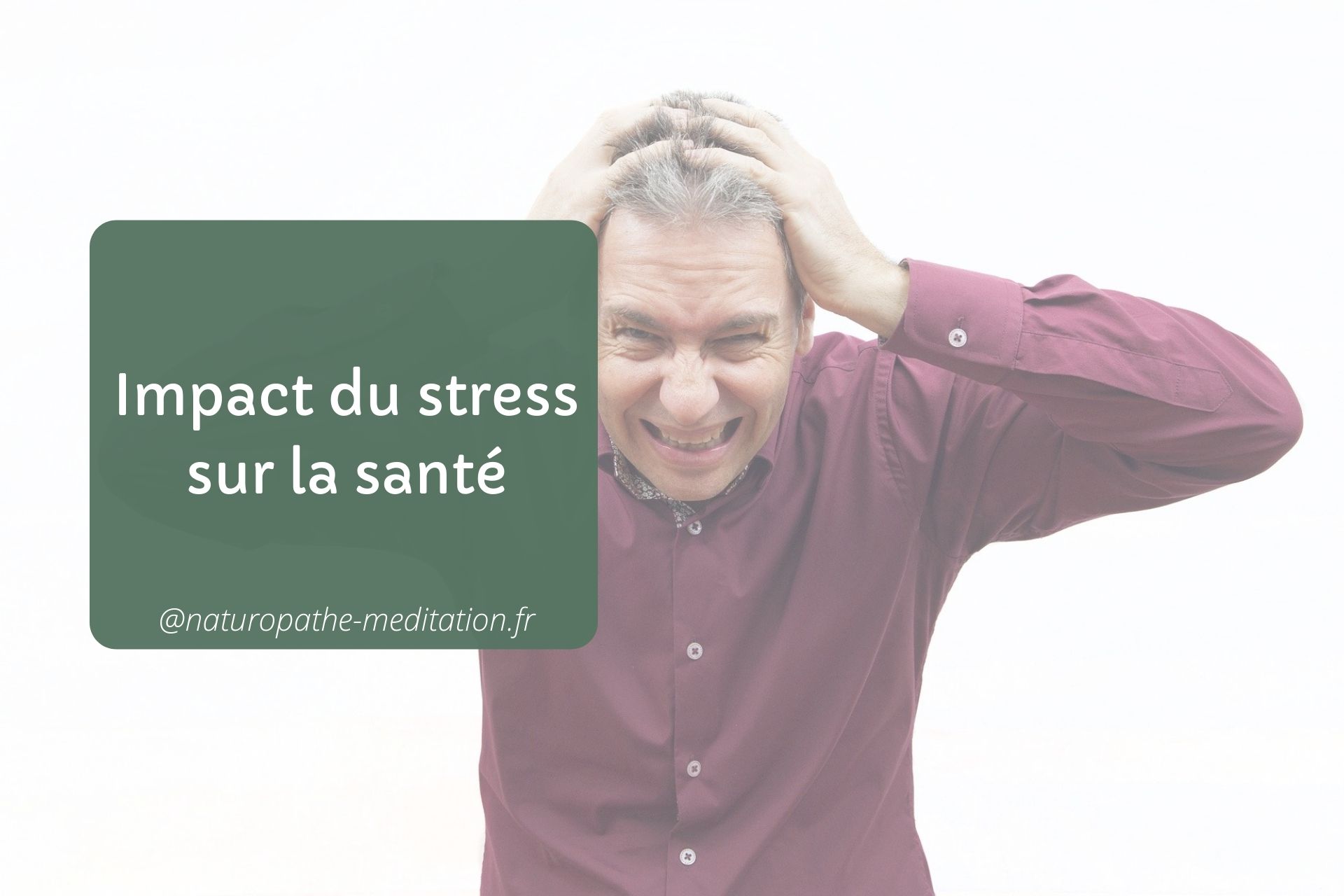 Impact du stress sur la santé impact du stress